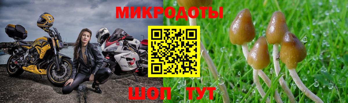 Бошки Шишки Бугуруслан